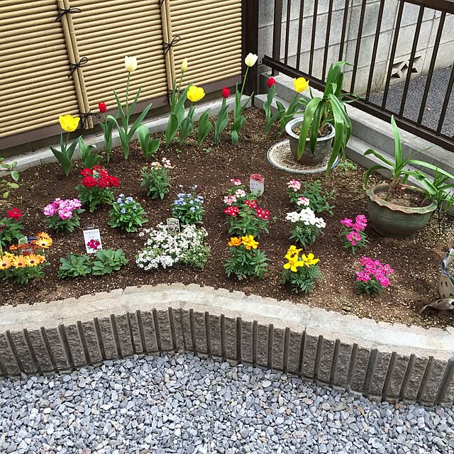 Mariさんの実例写真