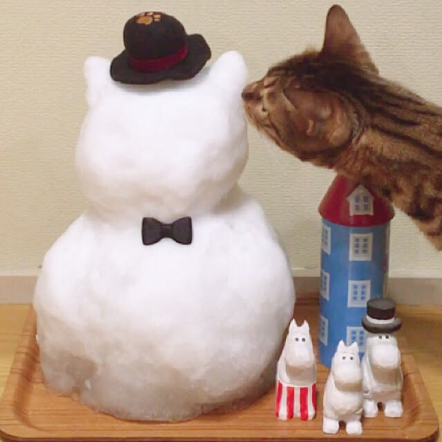 anさんの実例写真