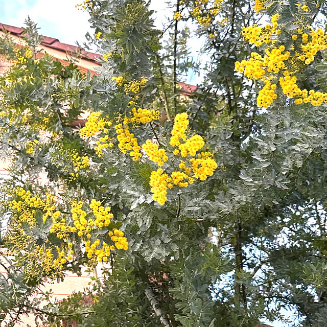 takakoさんの実例写真