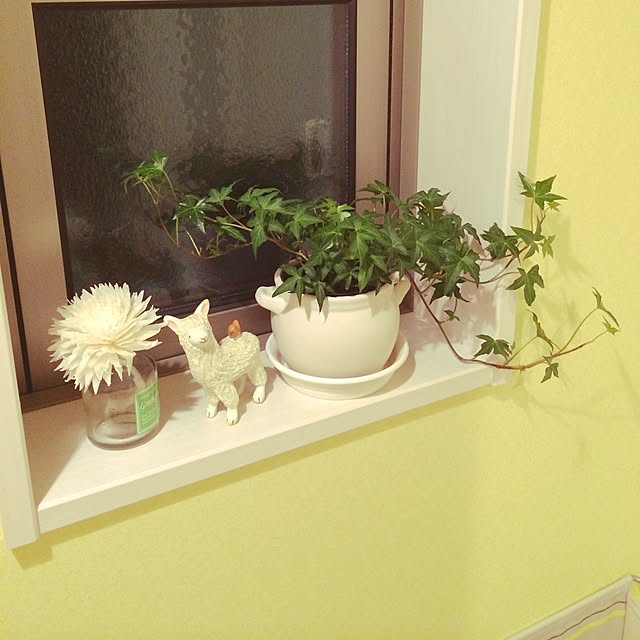 renさんの実例写真