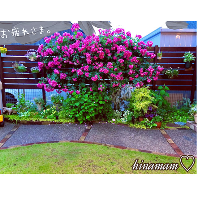 hinamamaさんの実例写真