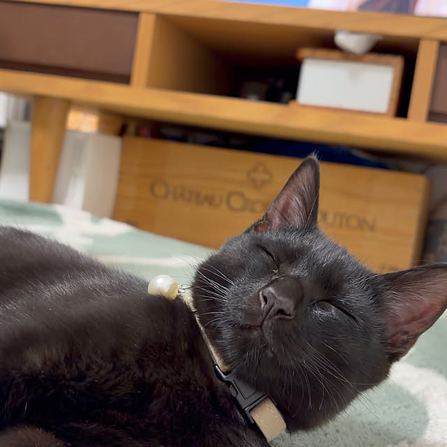 makiさんの実例写真