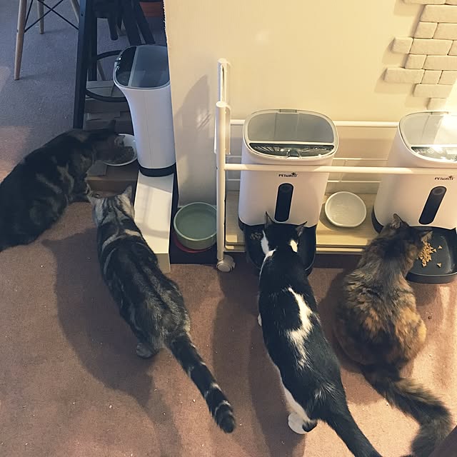 mikomaruさんの実例写真