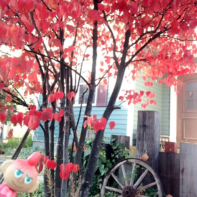 okeiさんの実例写真