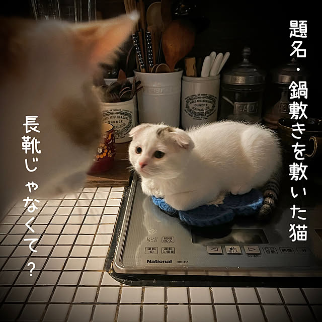 marusanさんの実例写真