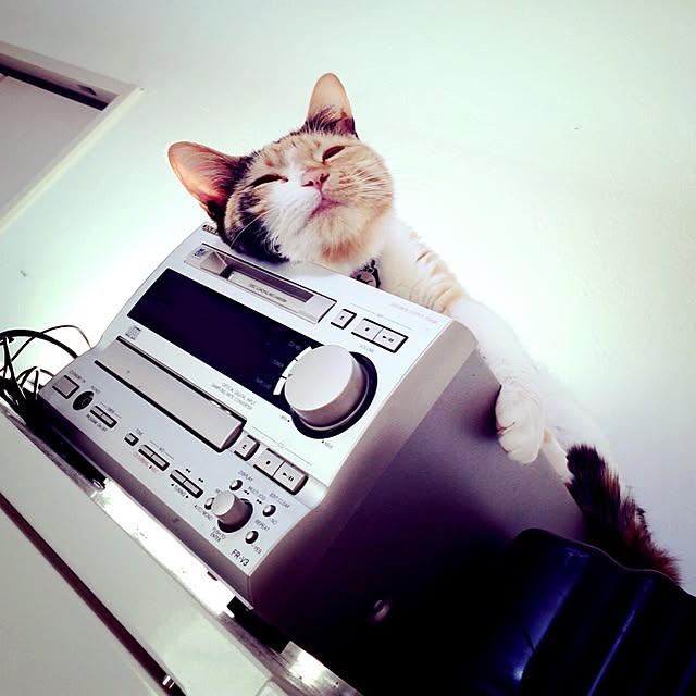 noririさんの実例写真