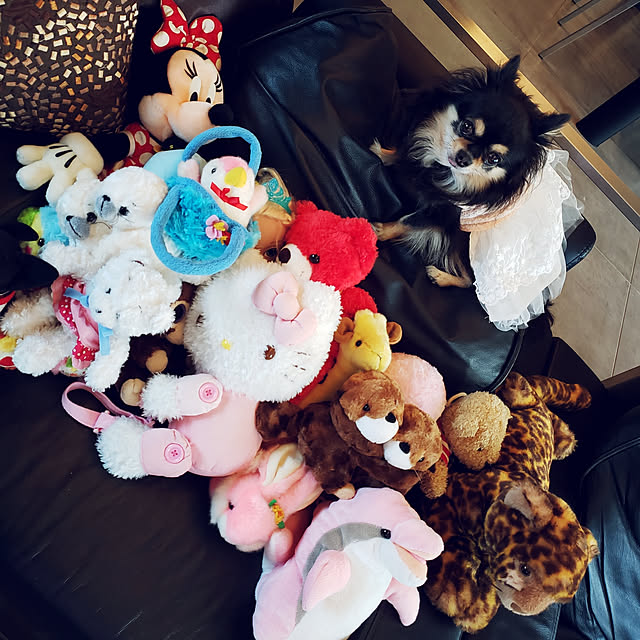 k.k.nさんの実例写真