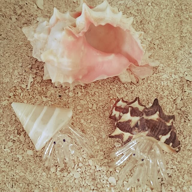 kohakuさんの実例写真