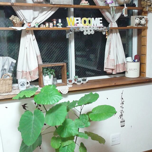 実例写真