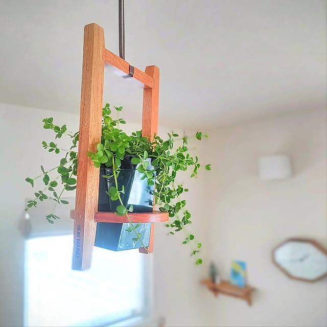 Haさんの部屋