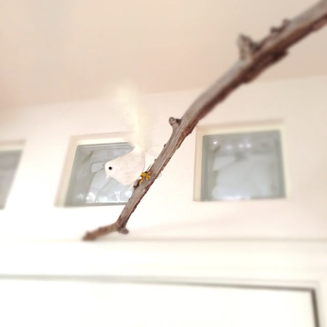 Nanaさんの実例写真