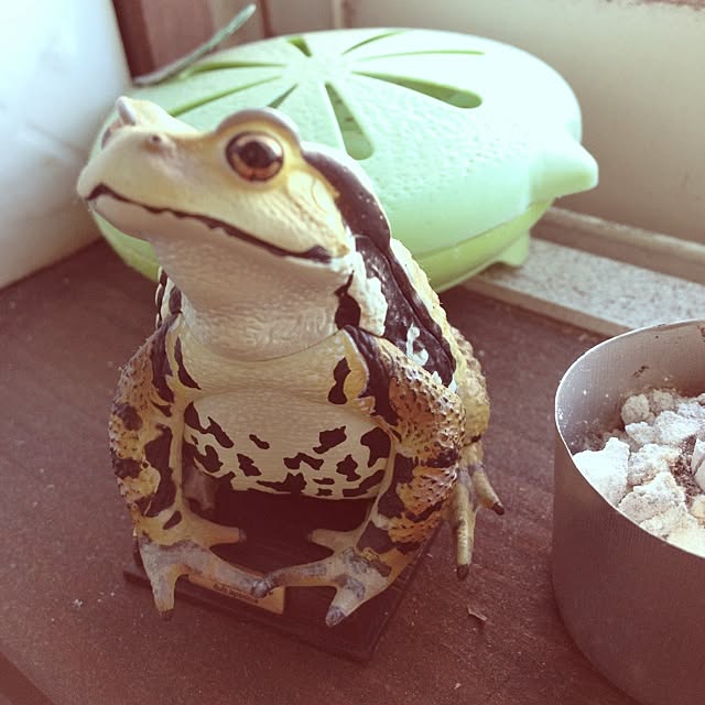 Tatsunosukeさんの実例写真