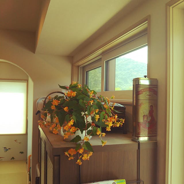 pekoさんの実例写真