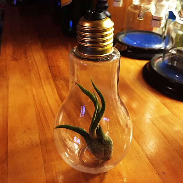 kyousukeさんの実例写真