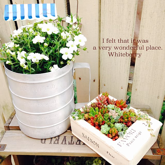 Whiteberryさんの実例写真