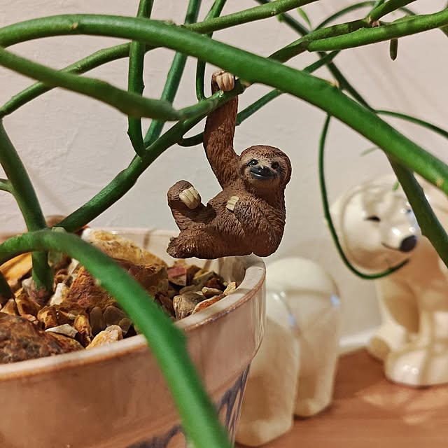 haruさんの部屋
