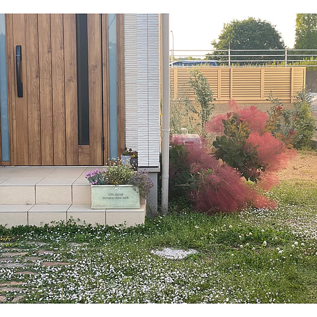 AYAさんの実例写真
