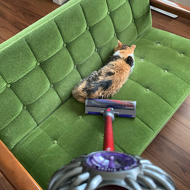 mikeume7さんの実例写真