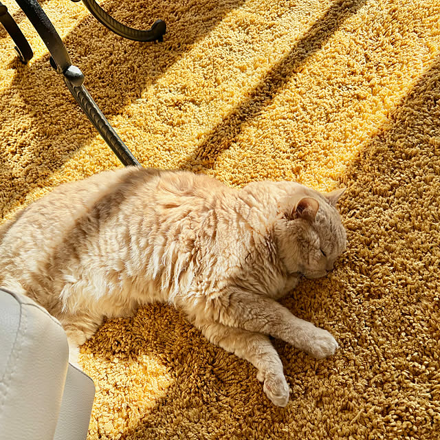 naokoさんの部屋