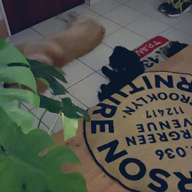 marinkoさんの実例写真