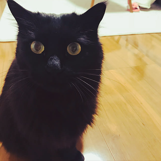 minamiさんの実例写真