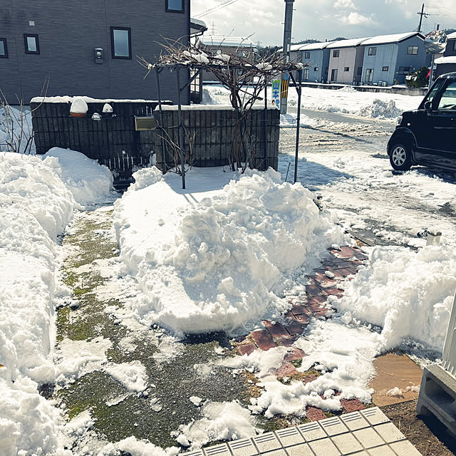 cyaroさんの部屋