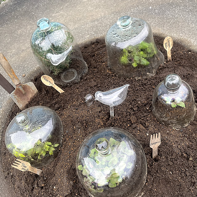 Ohigeさんの部屋