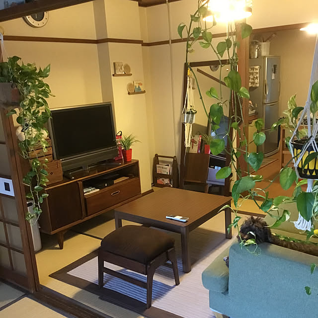 tamaさんの実例写真