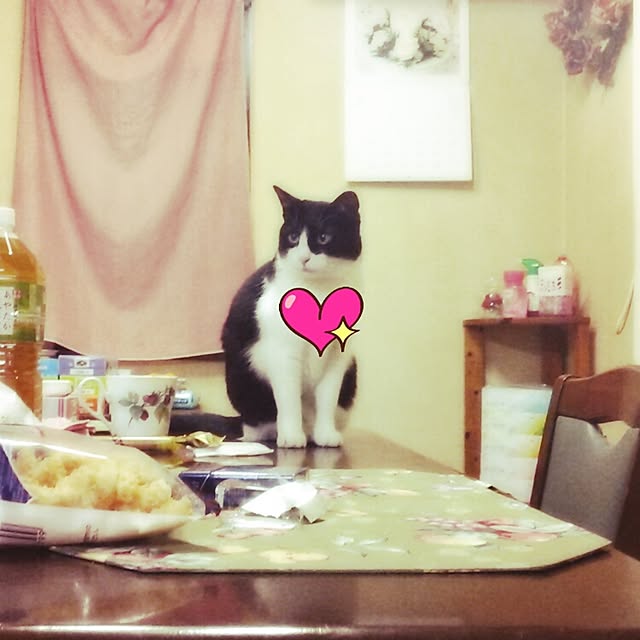 tomopさんの実例写真