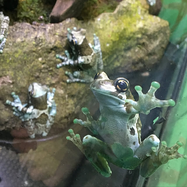 ohanaさんの実例写真