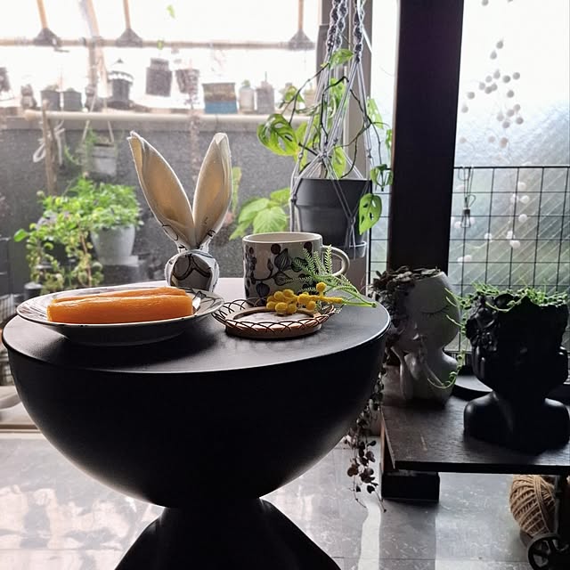 noaさんの実例写真