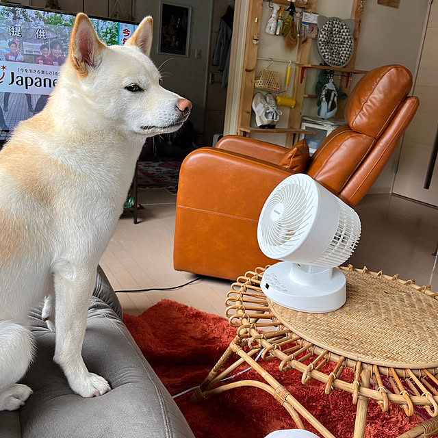 Toyomiさんの実例写真