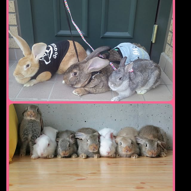 Mikaさんの実例写真