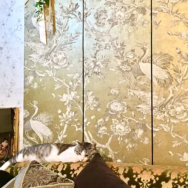 emmyyさんの実例写真
