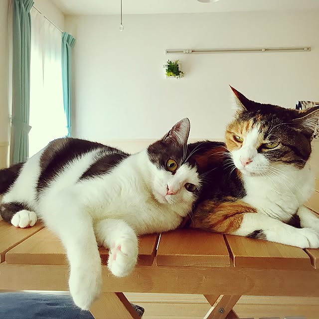 ojyouさんの実例写真