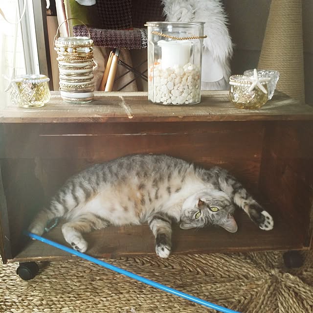 annさんの実例写真