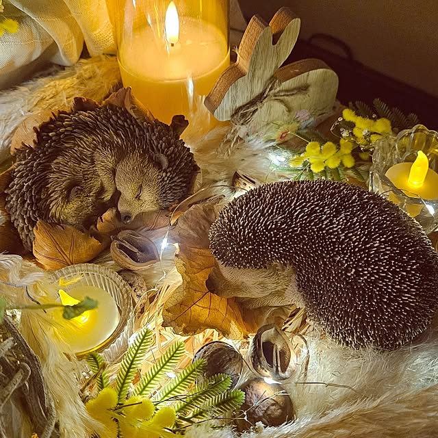 mocomocoさんの部屋