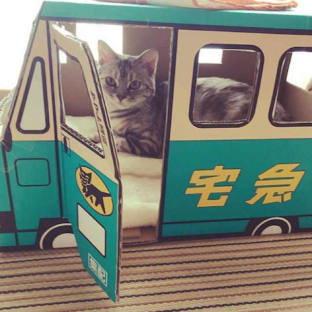 tajaboさんの実例写真