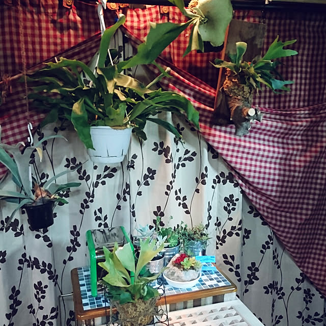 hiro4649さんの実例写真