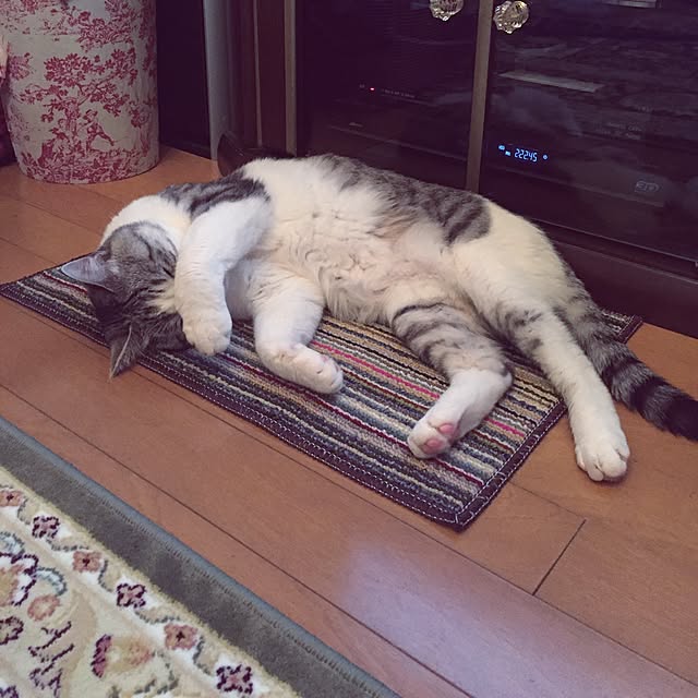 emmyyさんの実例写真