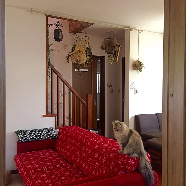 butachanさんの実例写真