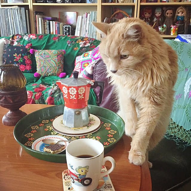 nekohigeさんの実例写真