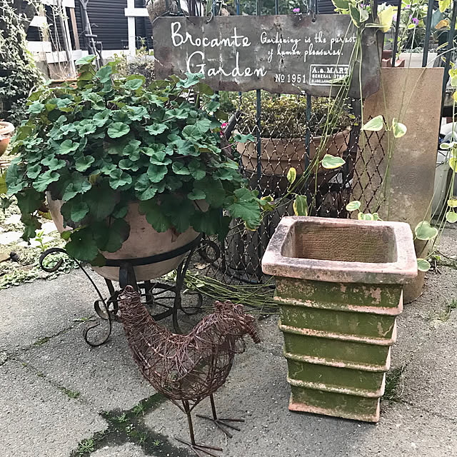 bibianさんの実例写真