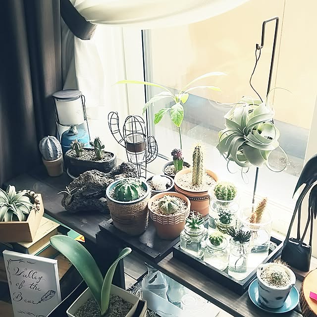 valley-of-the-bearさんの実例写真