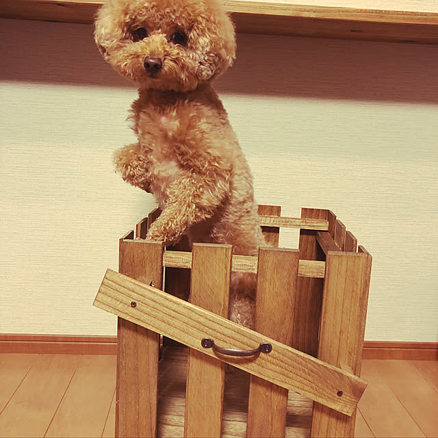 memeさんの実例写真