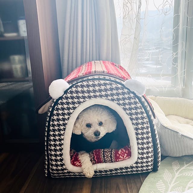 junさんの部屋