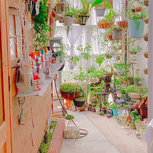 Hanakaさんの部屋