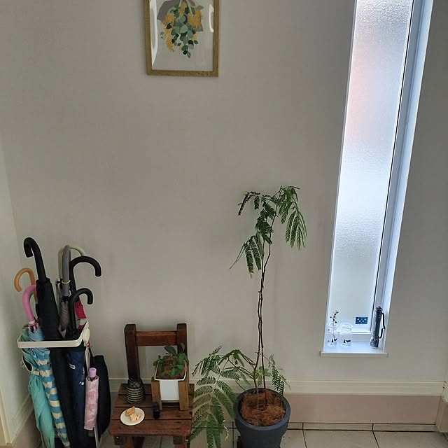 ayumiさんの部屋