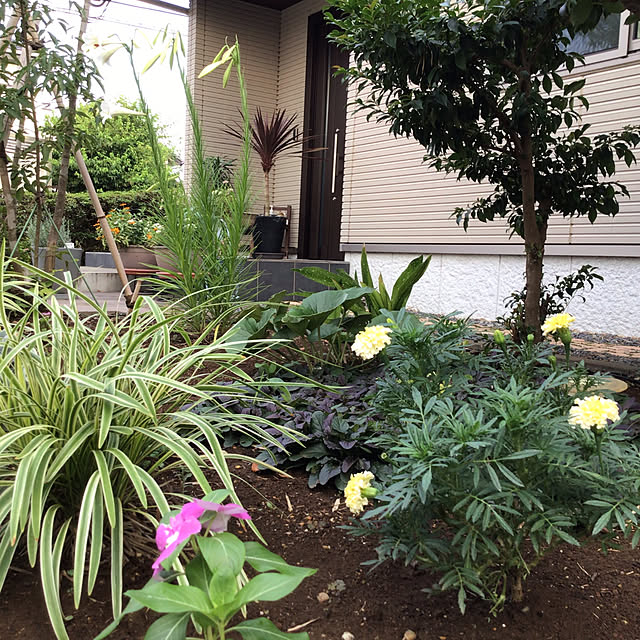 houenさんの部屋