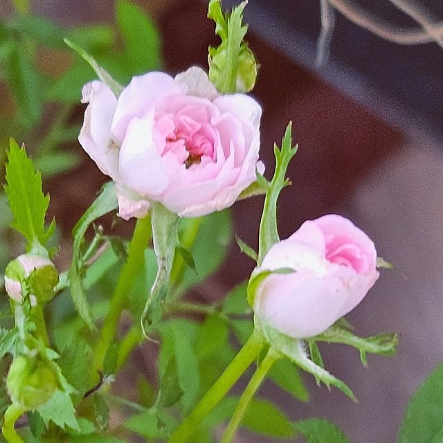 mocomocoさんの部屋